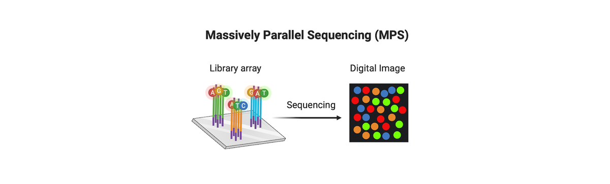 Navigating the Leap from STRs to SNPs in Forensic DNA Testing